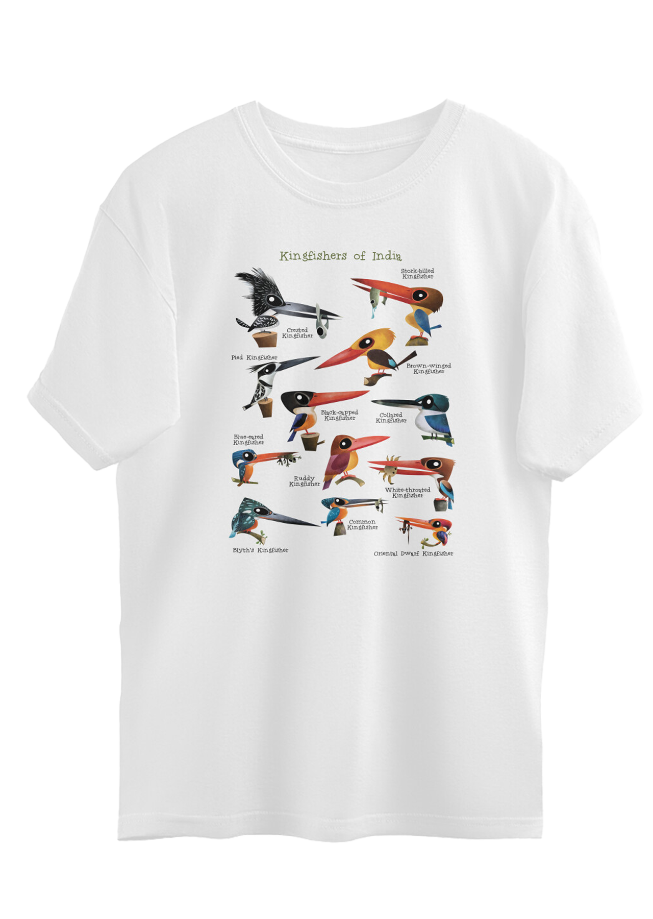 Kingfishers of India Oversized T-shirt