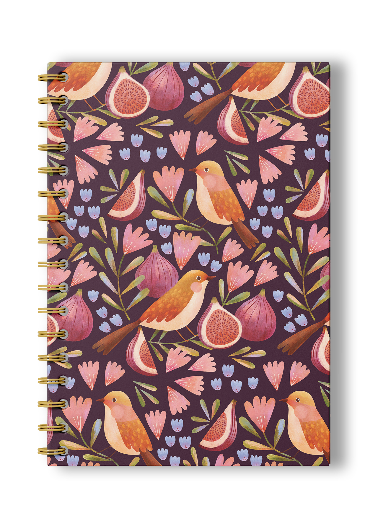 Figs and Birds A5 Sketchbook