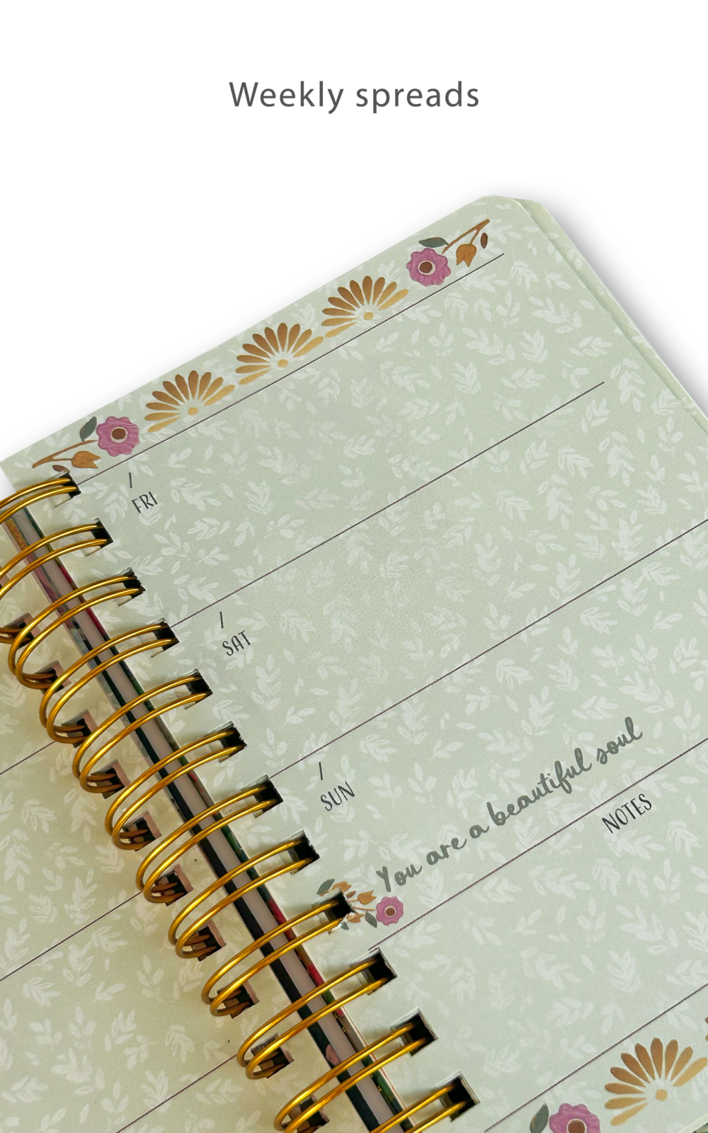 Dragonfly Undated Planner