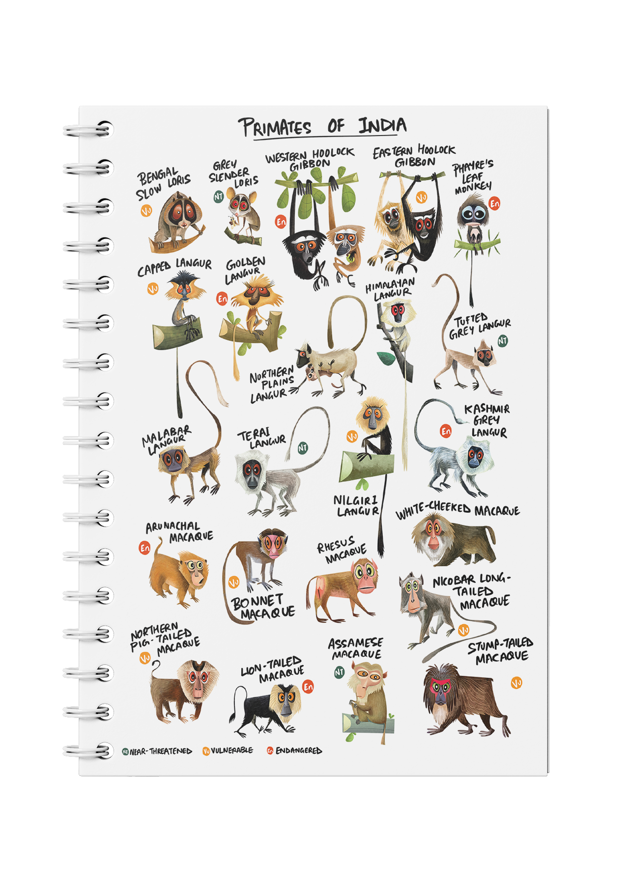 Primates of India Notebook