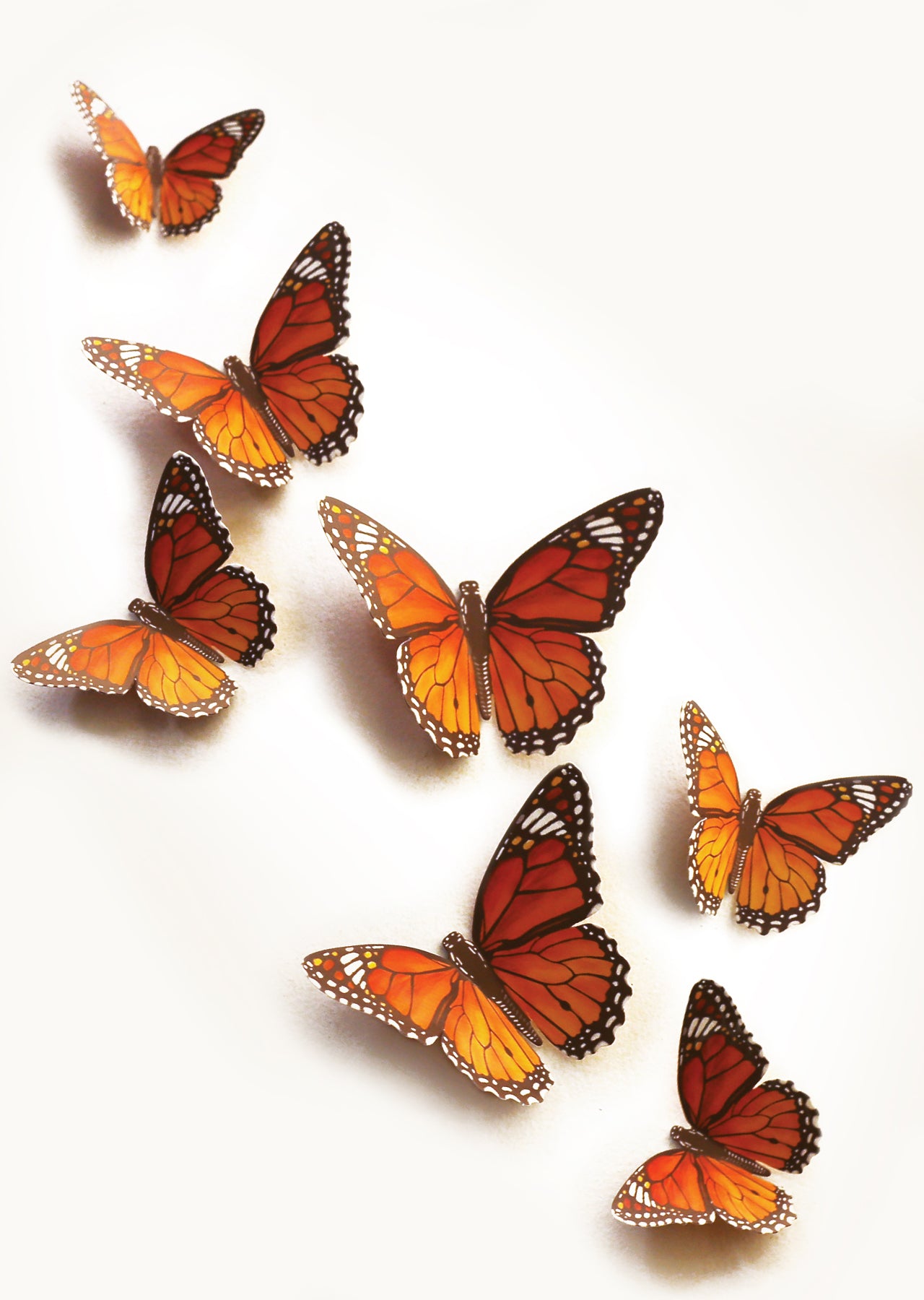 Paper Monarch Butterflies for Wall Decoration: Set of 24