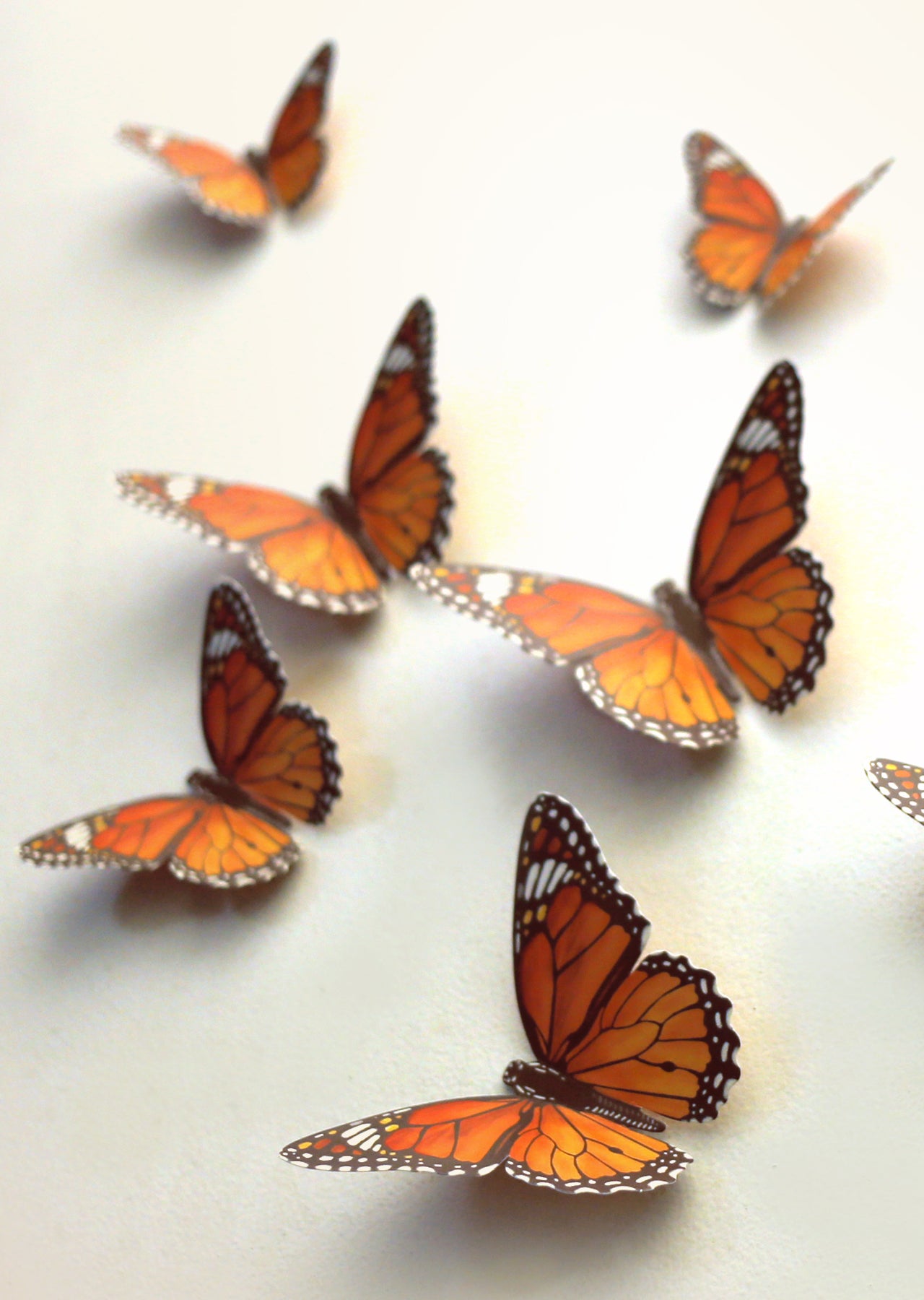 Paper Monarch Butterflies for Wall Decoration: Set of 24