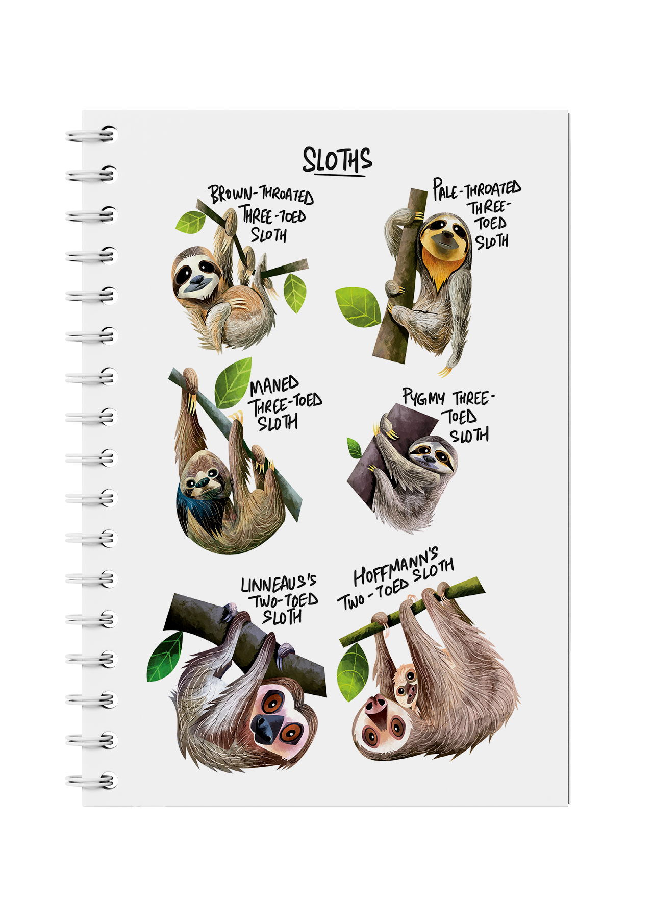 Sloth Notebook