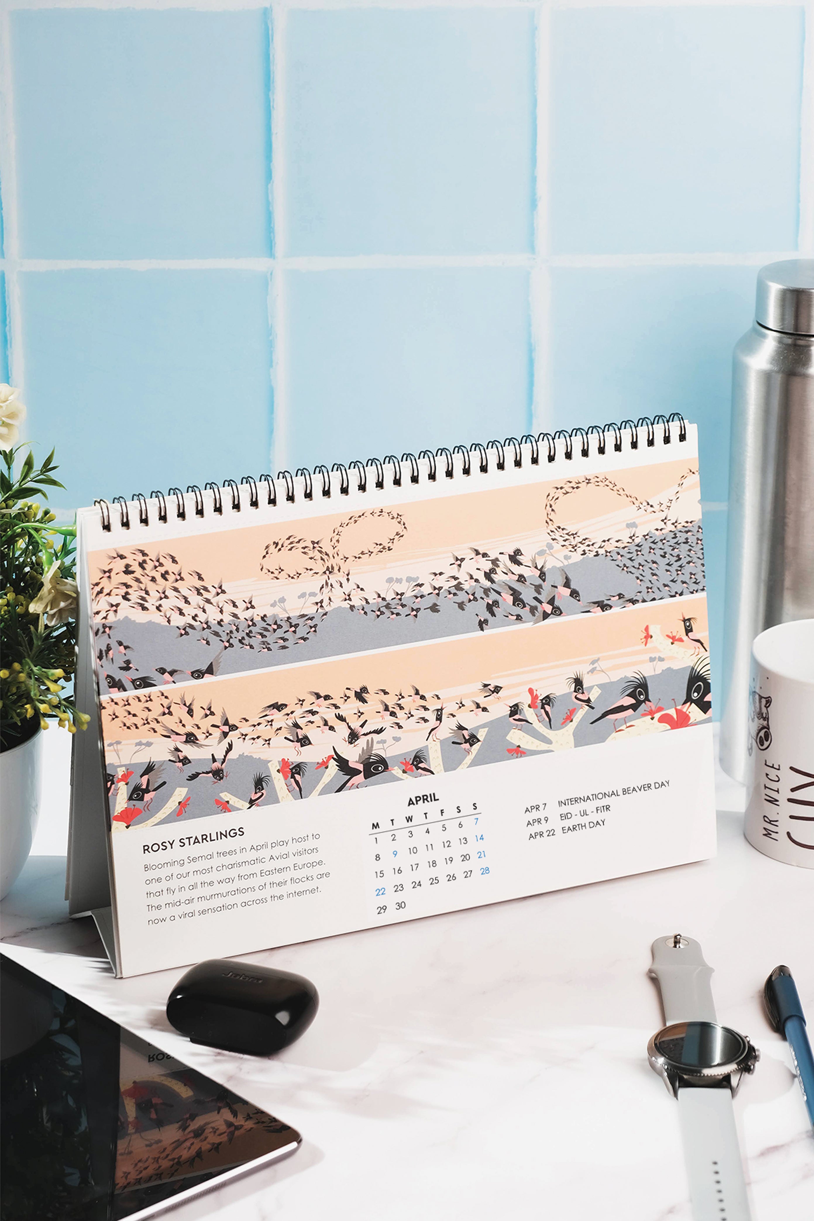 2024 Bird of the Month Large Desk Calendar