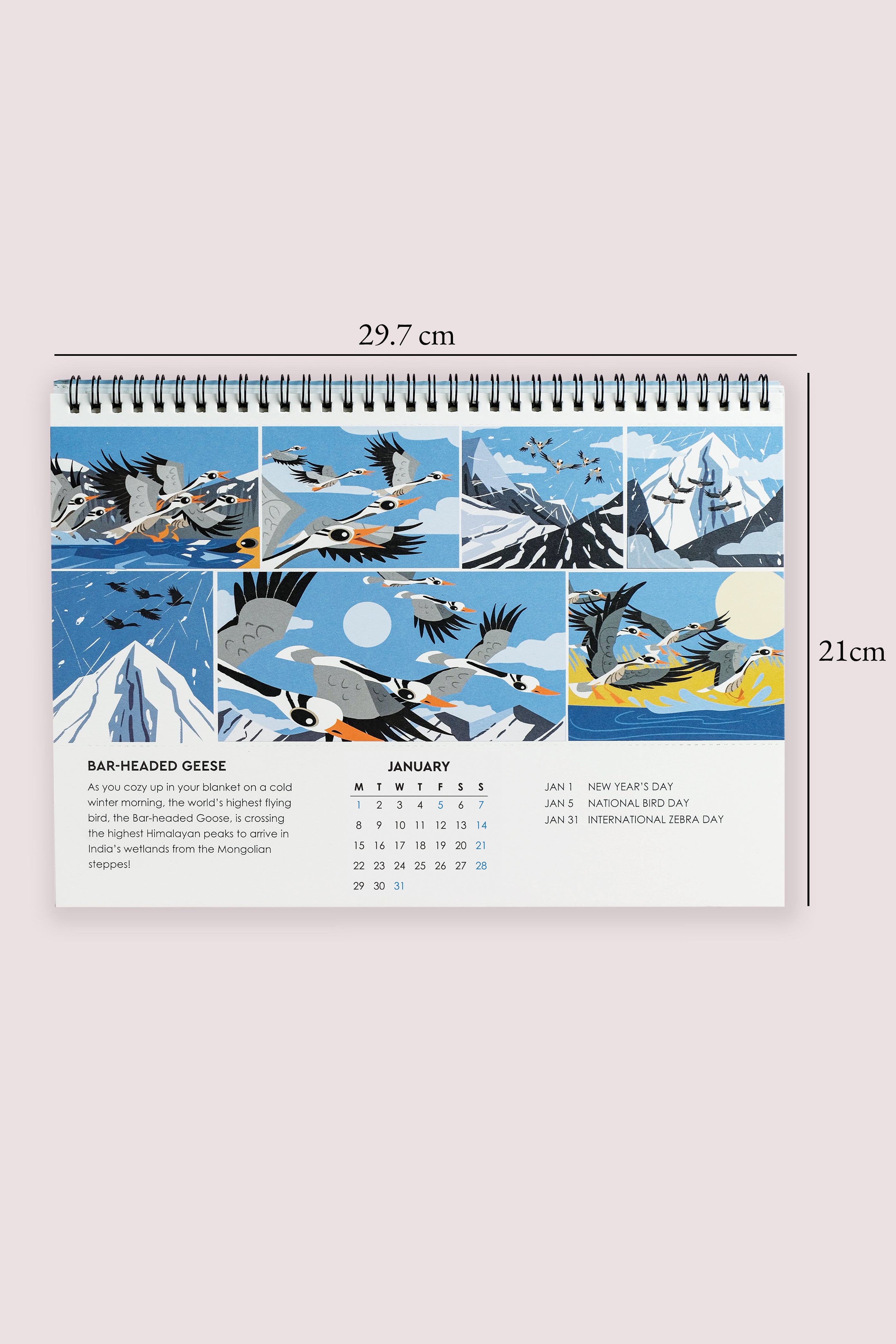 2024 Bird of the Month Large Desk Calendar