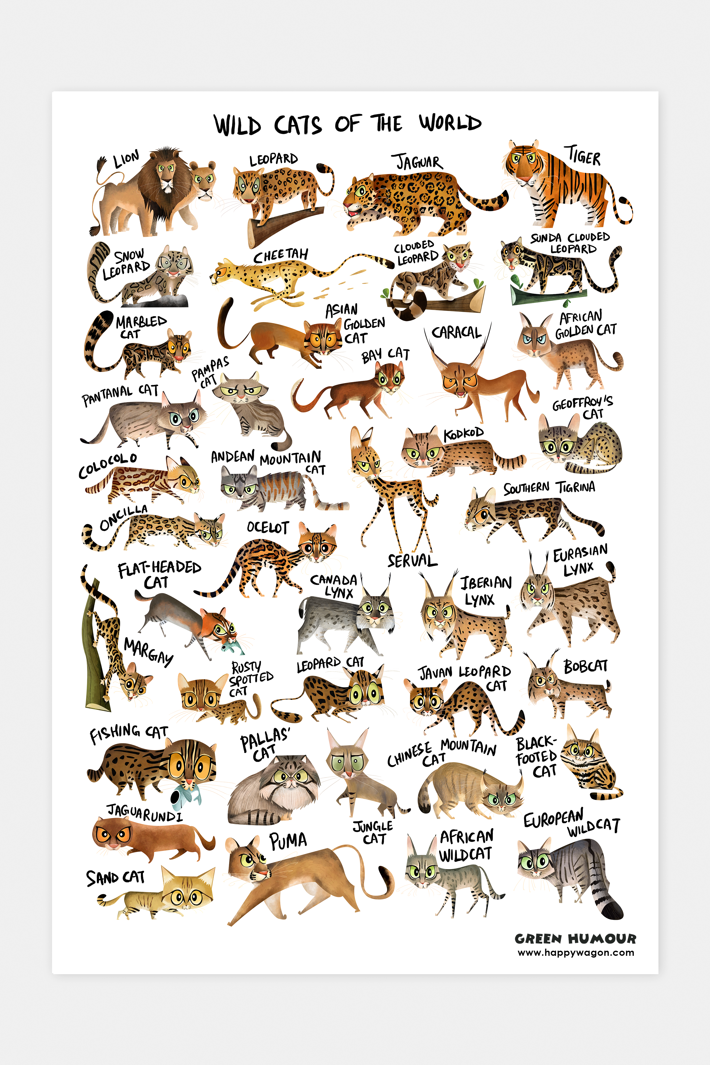 Wild Cats of the World Non Tearable Poster