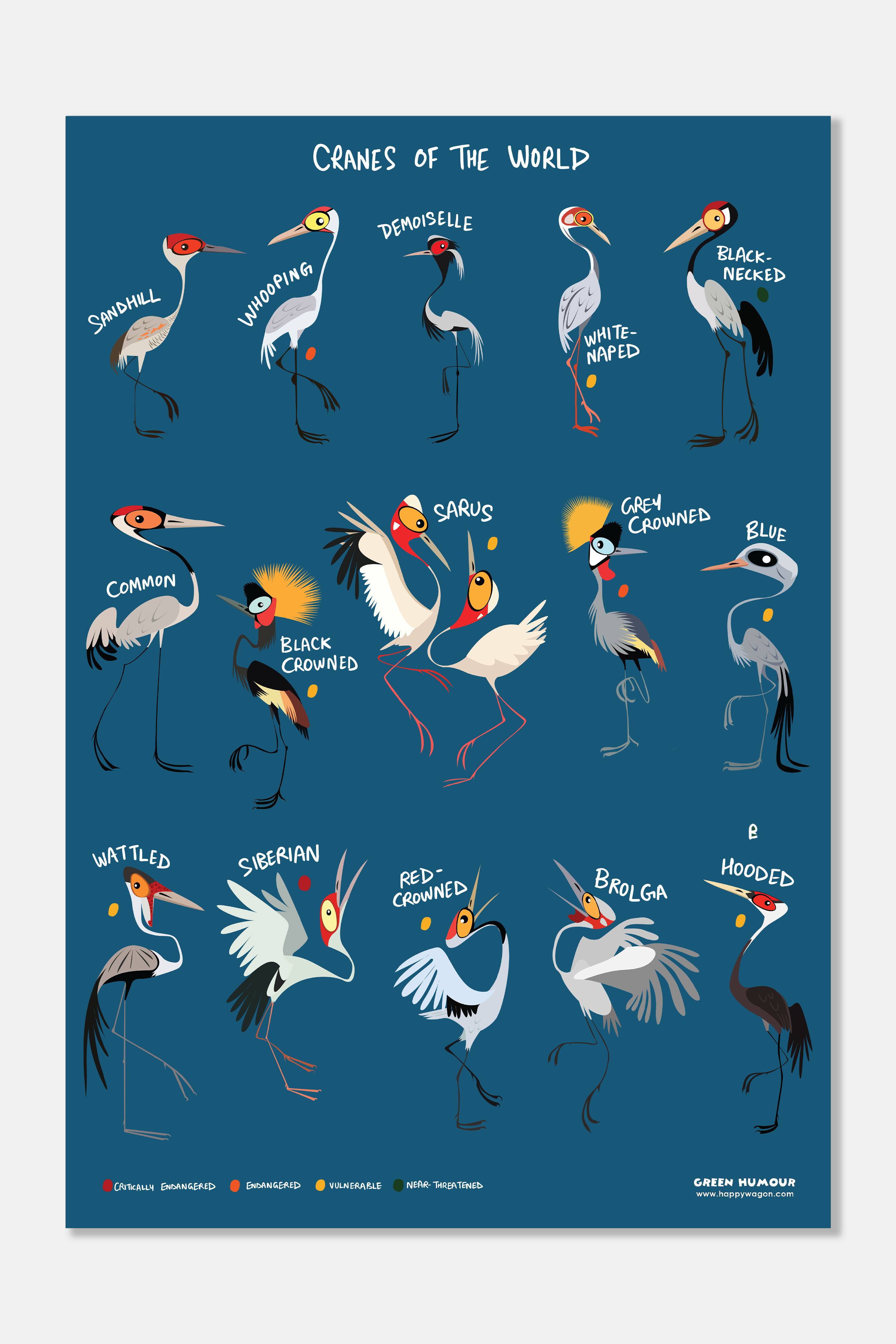 Cranes of the World Non-Tearable Poster