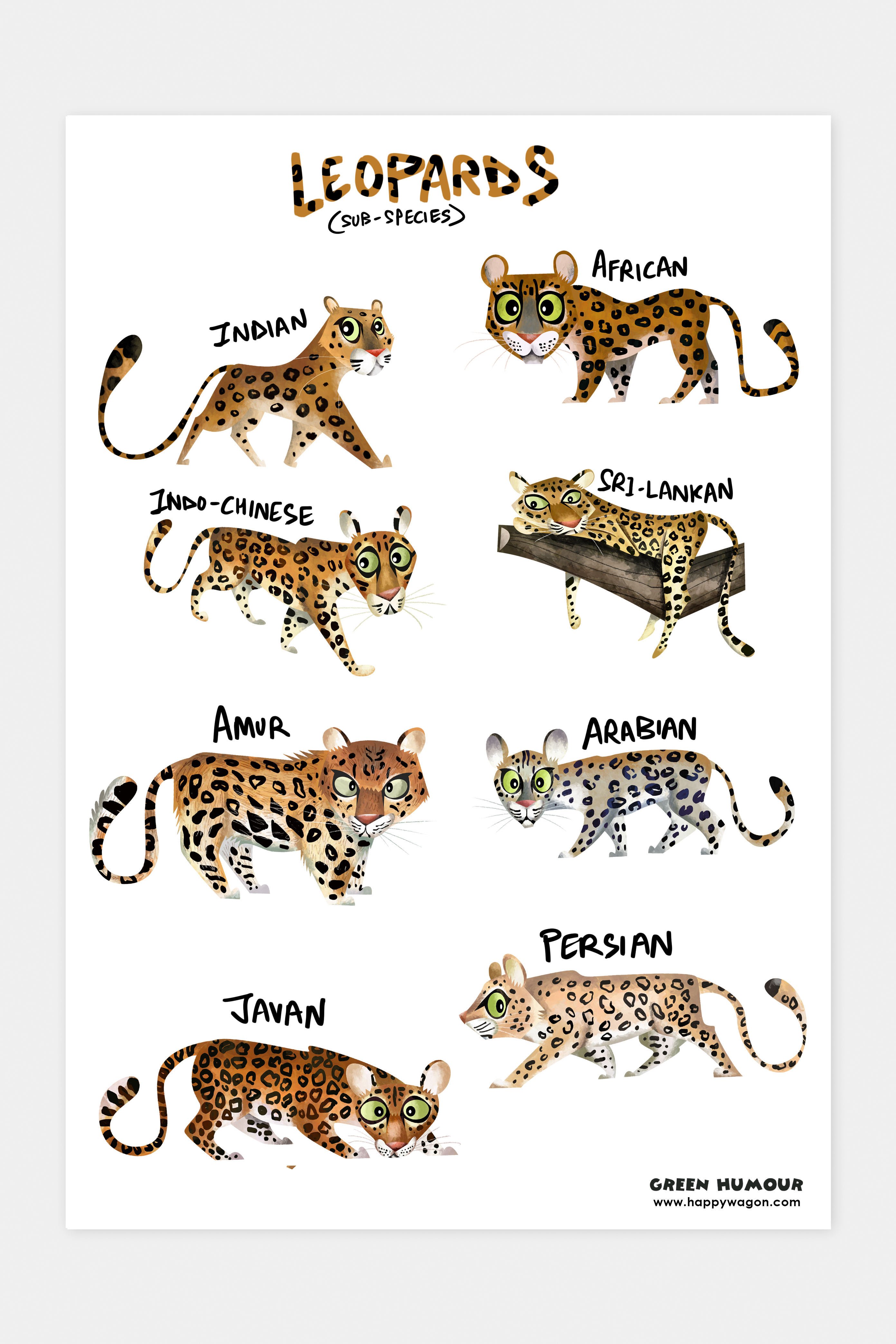 Leopard Sub Species Non Tearable Poster