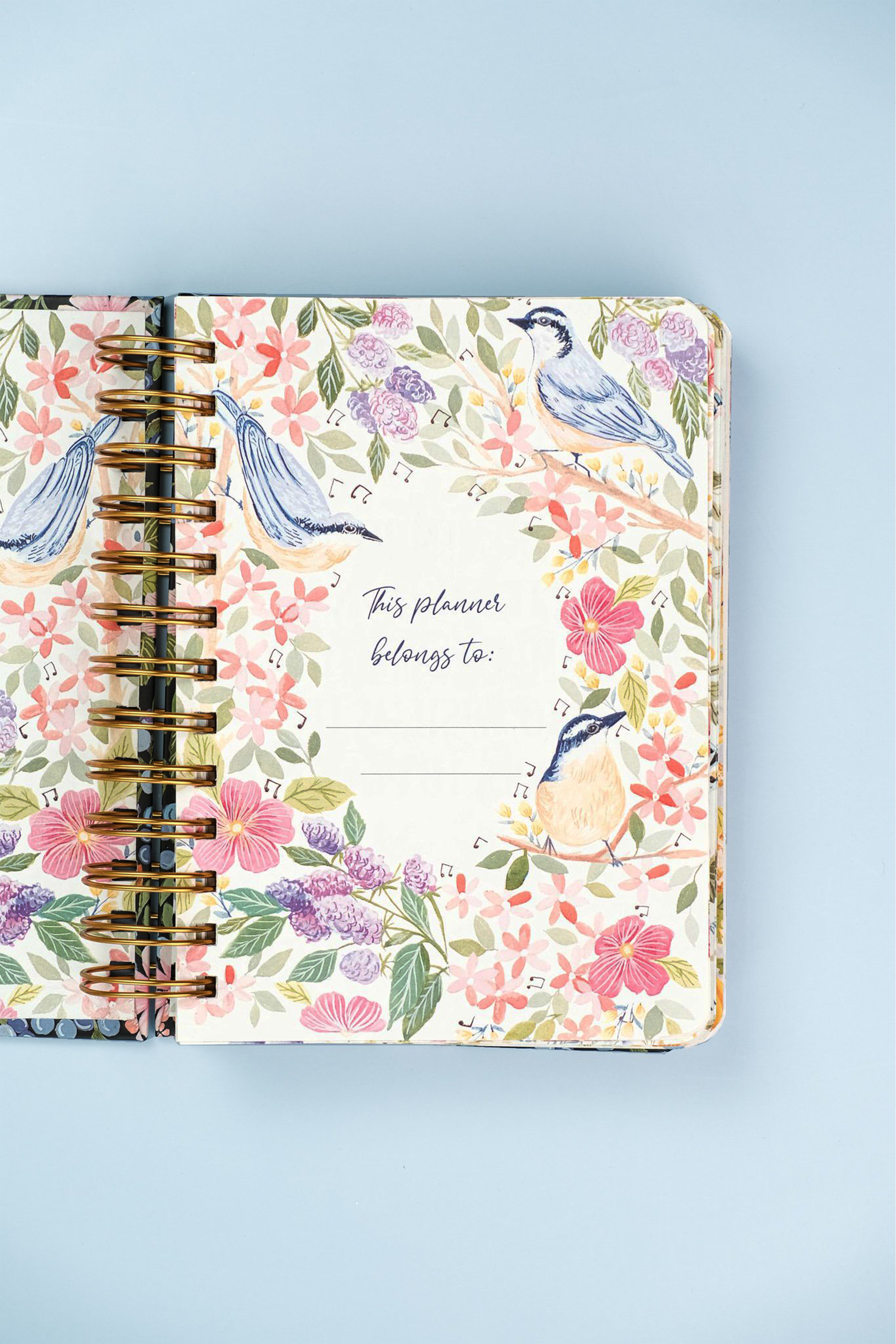 Summer Birds Wiro Undated Planner