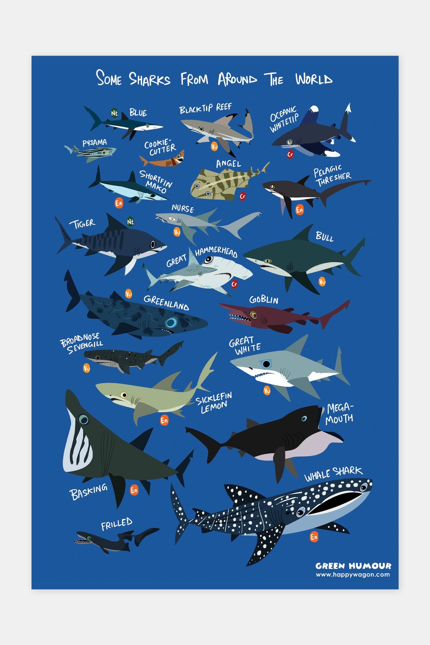 Some Sharks From Around The World Poster