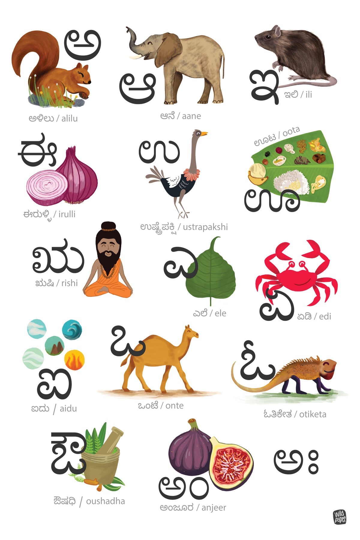 Kannada Alphabets - Swaragalu Non Tearable Poster