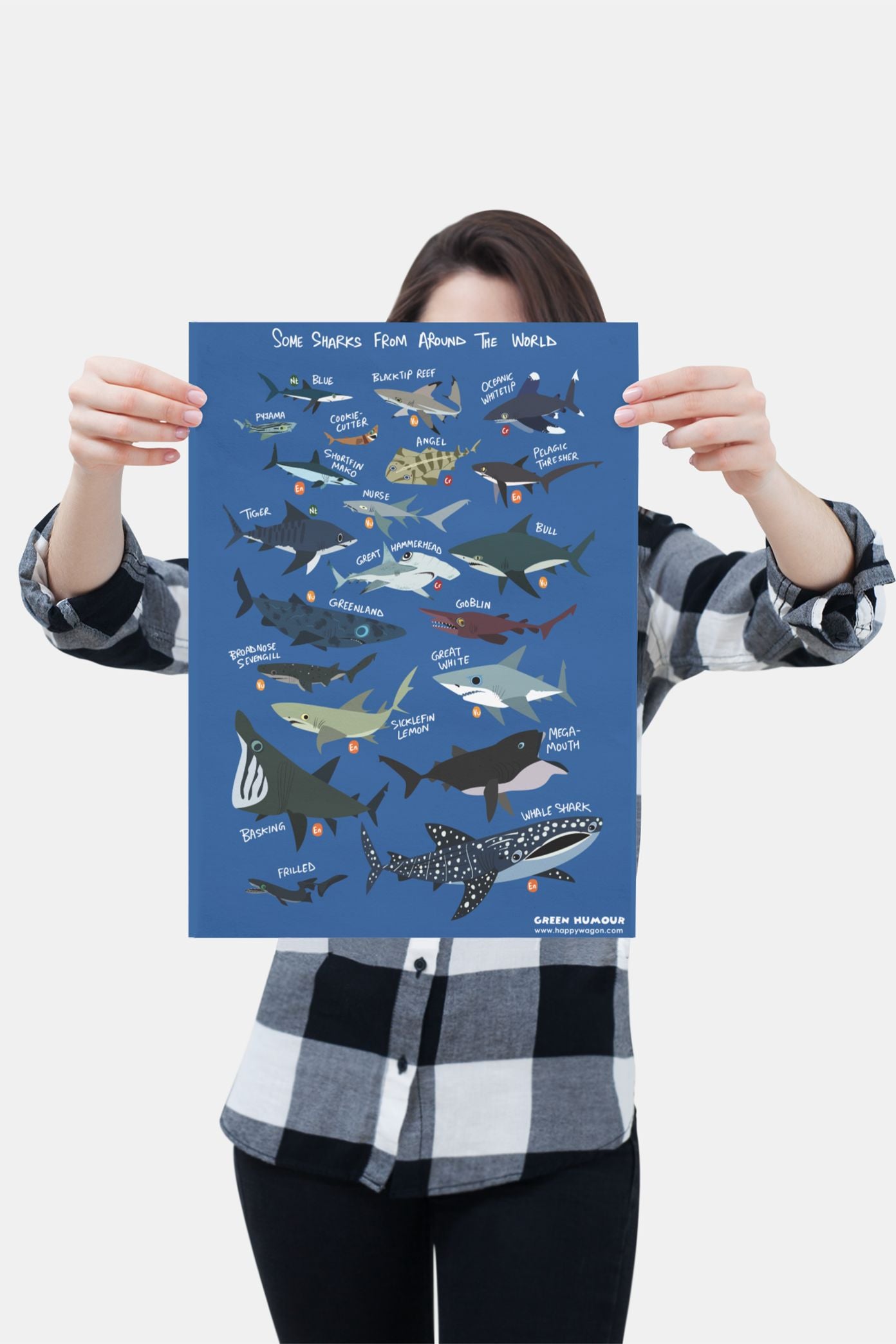 Some Sharks From Around The World Poster