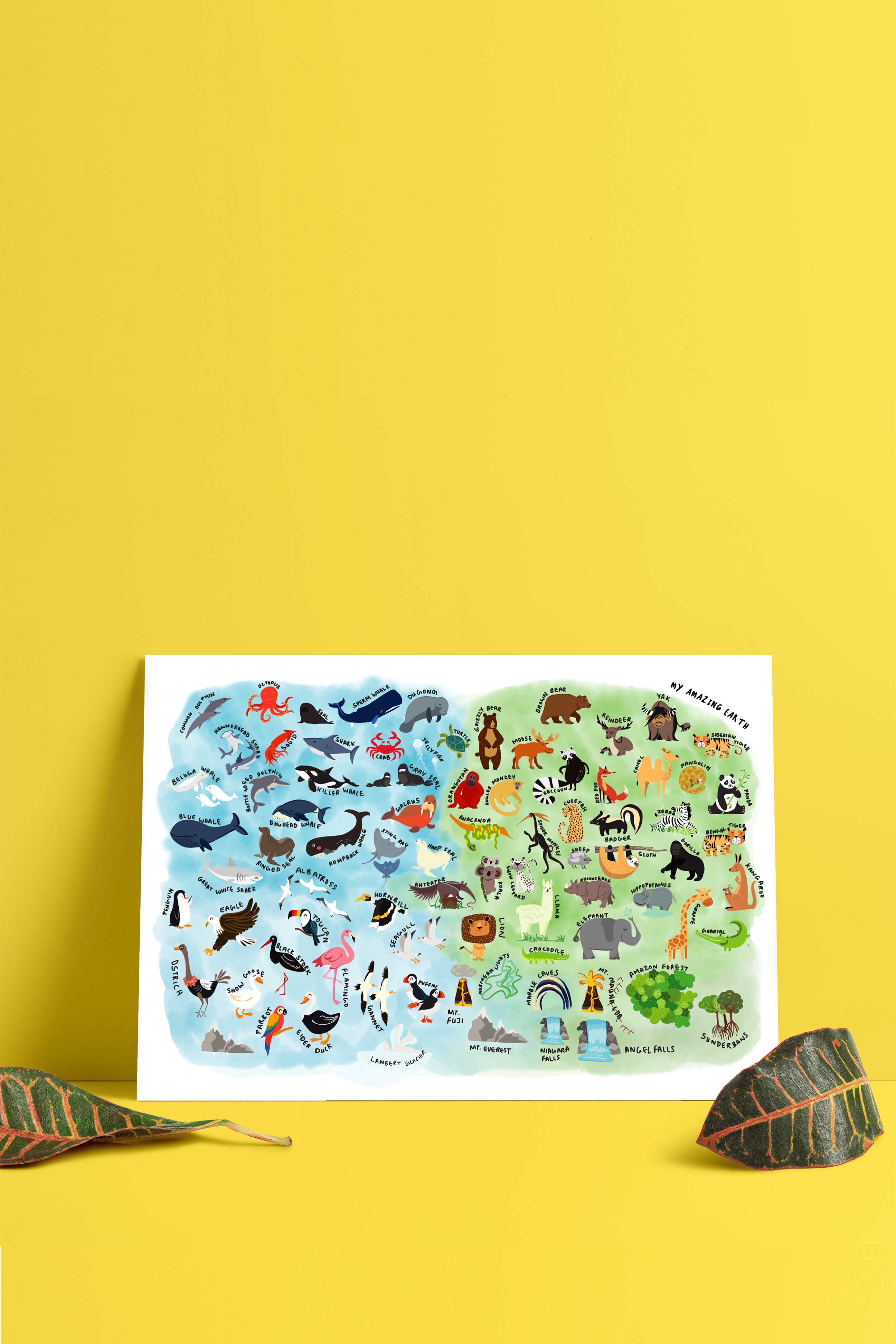 Biodiversity - Non Tearable Poster