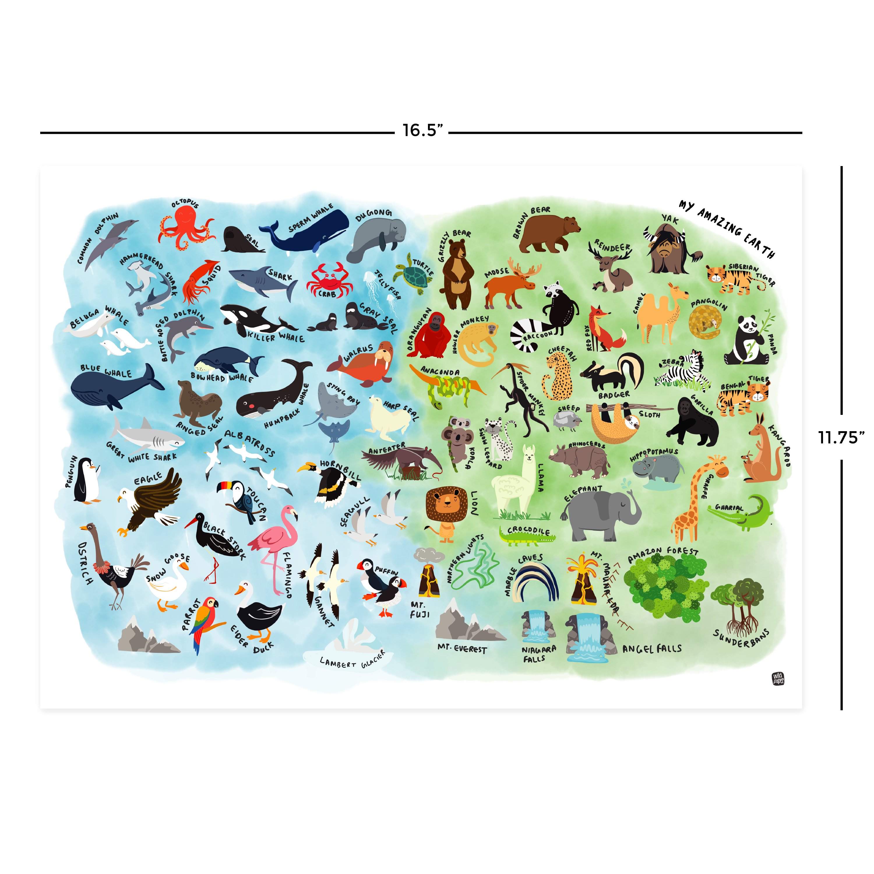 Biodiversity - Non Tearable Poster