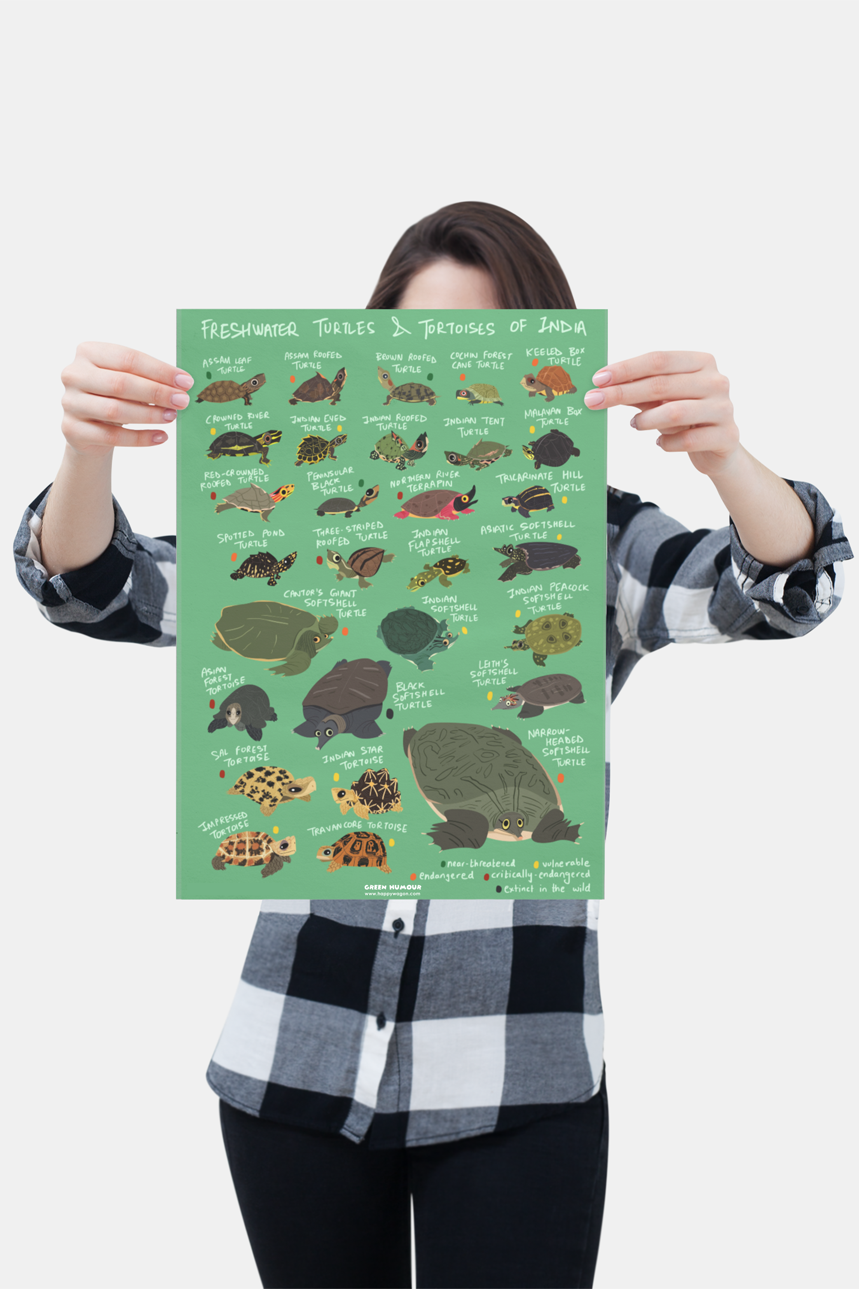 Freshwater Turtles Of India Non-Tearable Poster