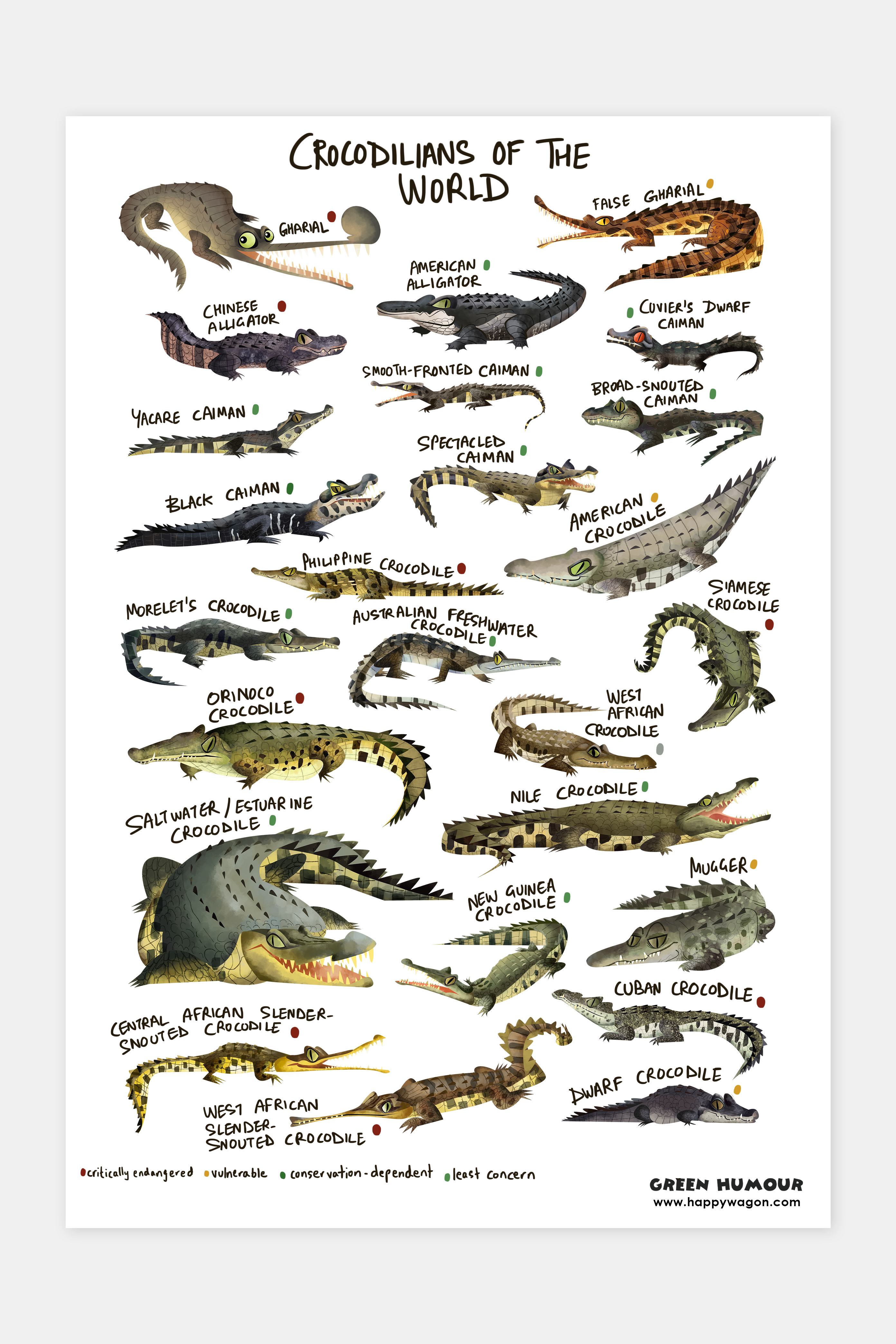 Crocodilians Of The World Non-Tearable Poster