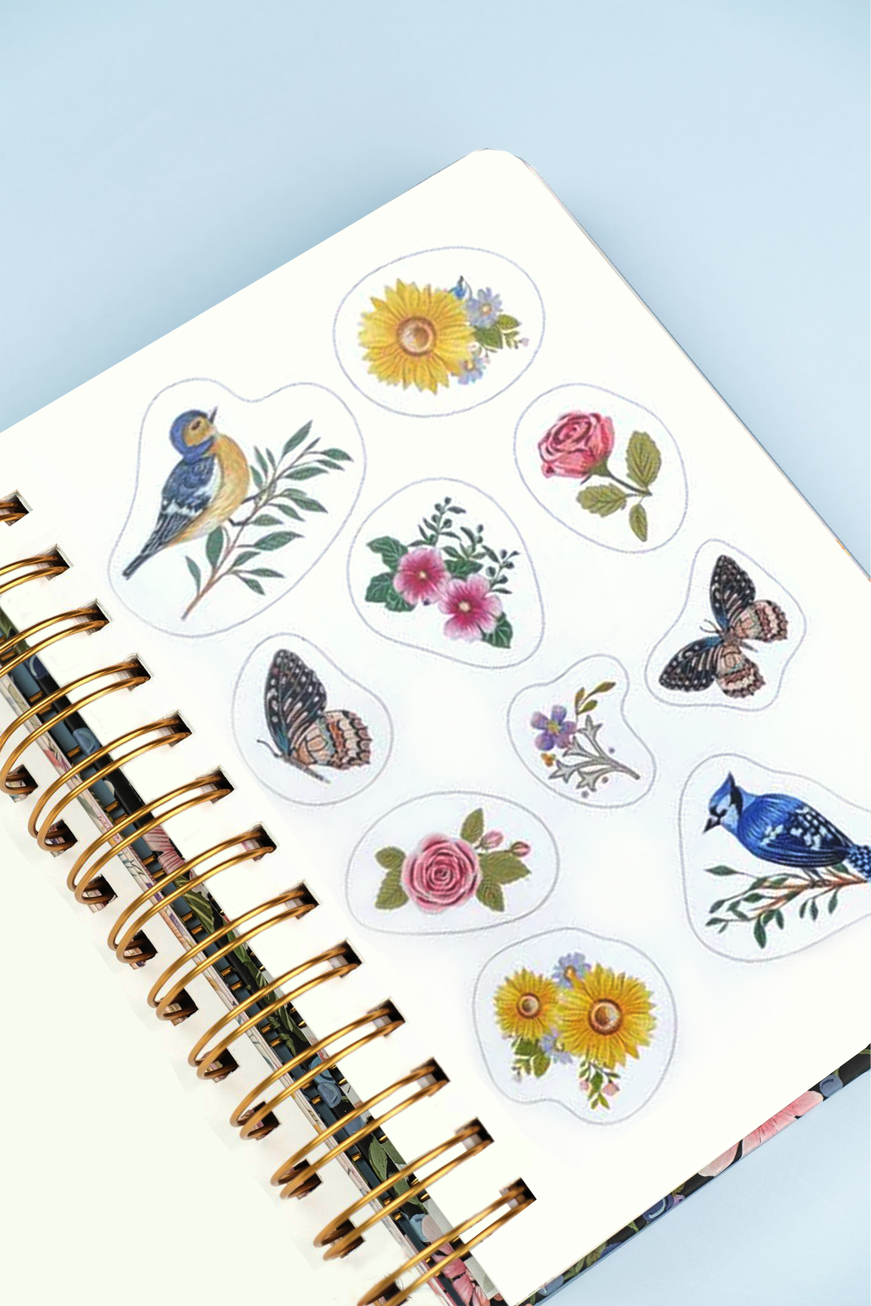 Summer Birds Wiro Undated Planner