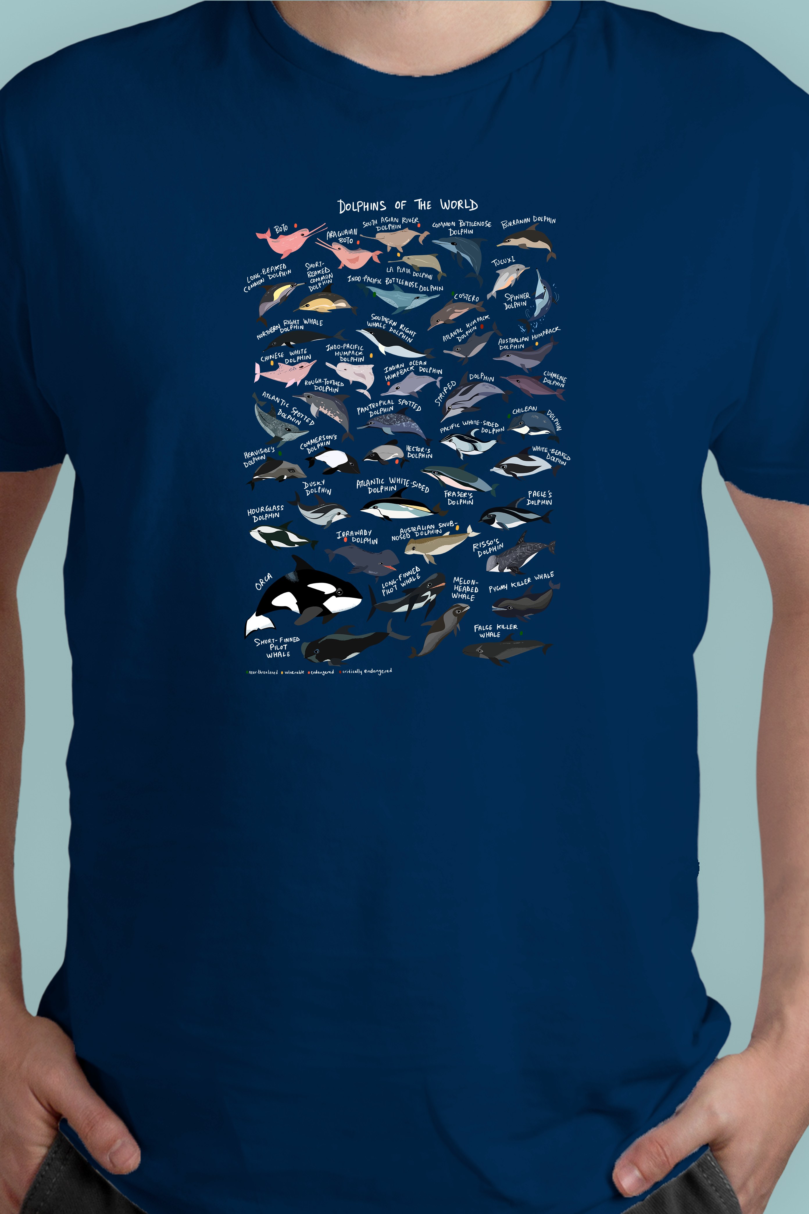 Dolphins of the World T-shirt