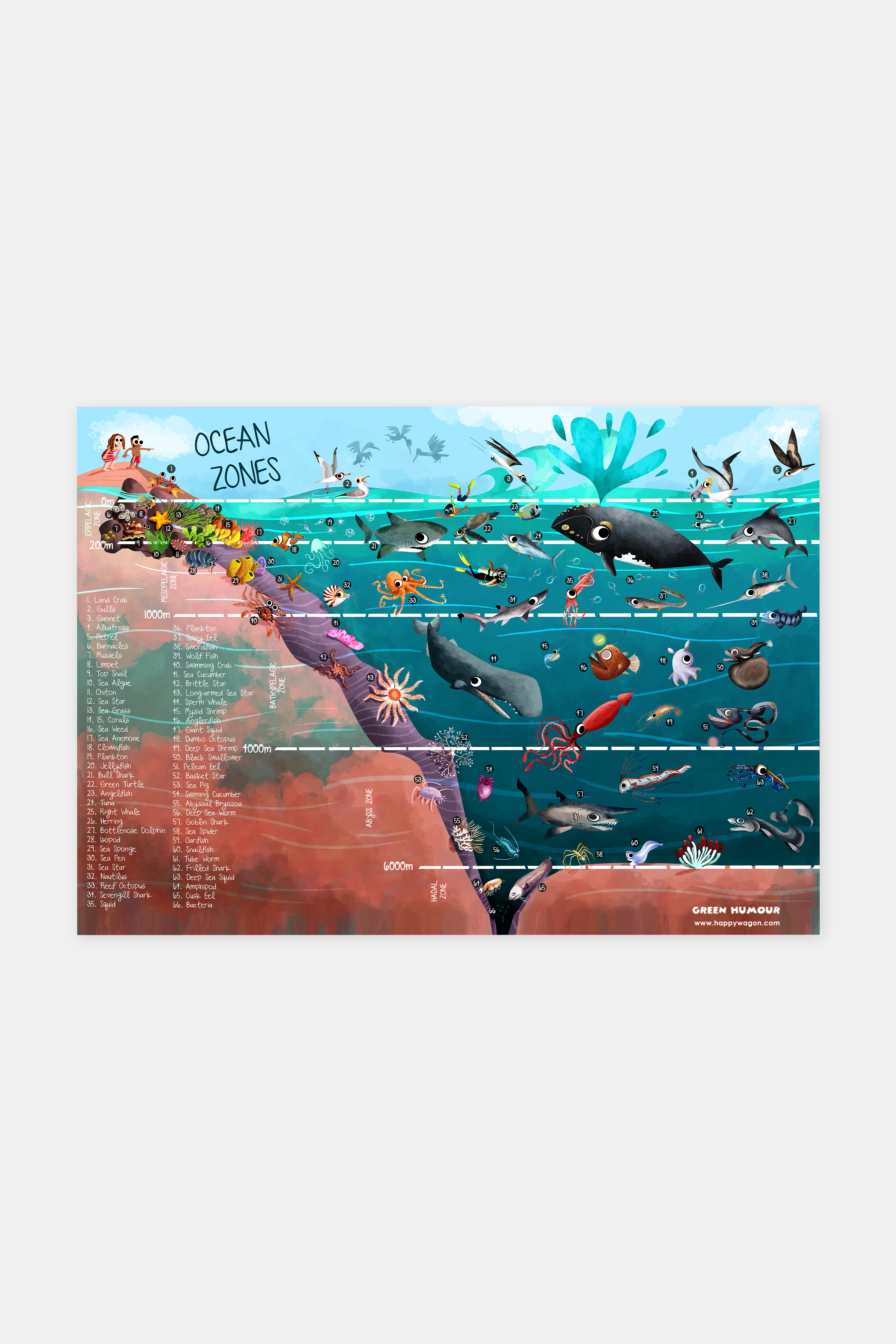 Ocean Zone Non-Tearable Poster