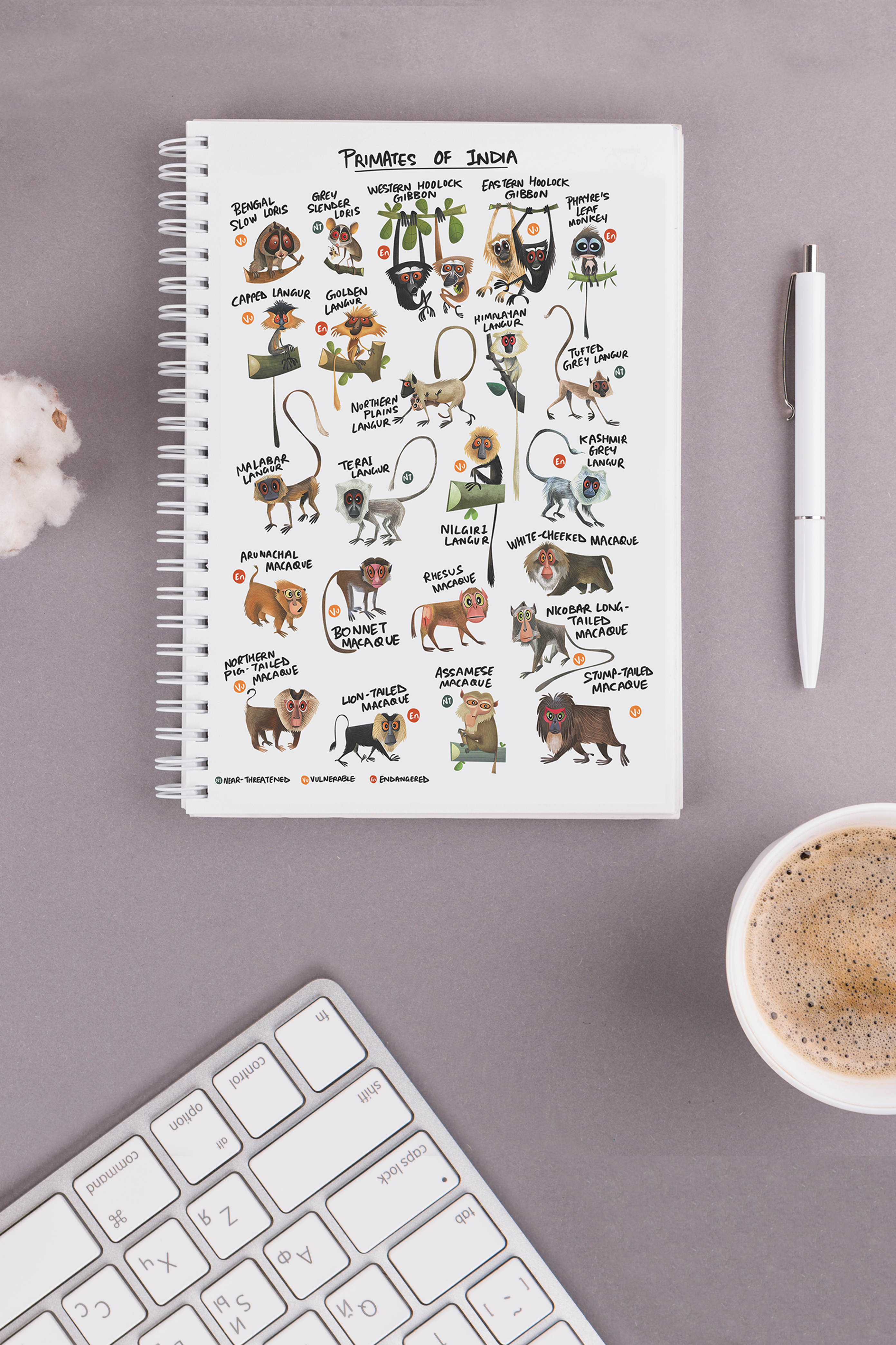 Primates of India Notebook