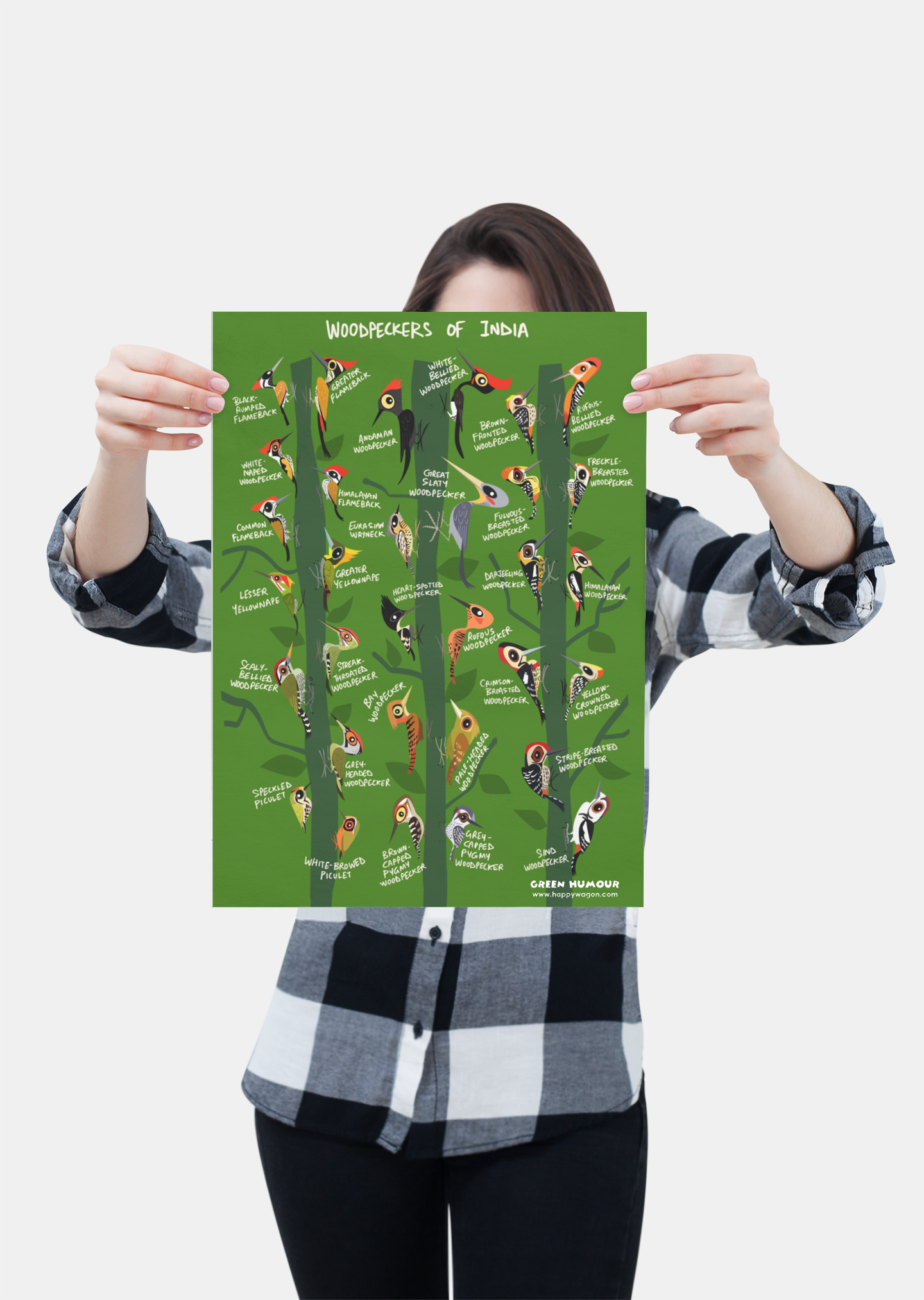 Woodpeckers of India Non-Tearable Poster